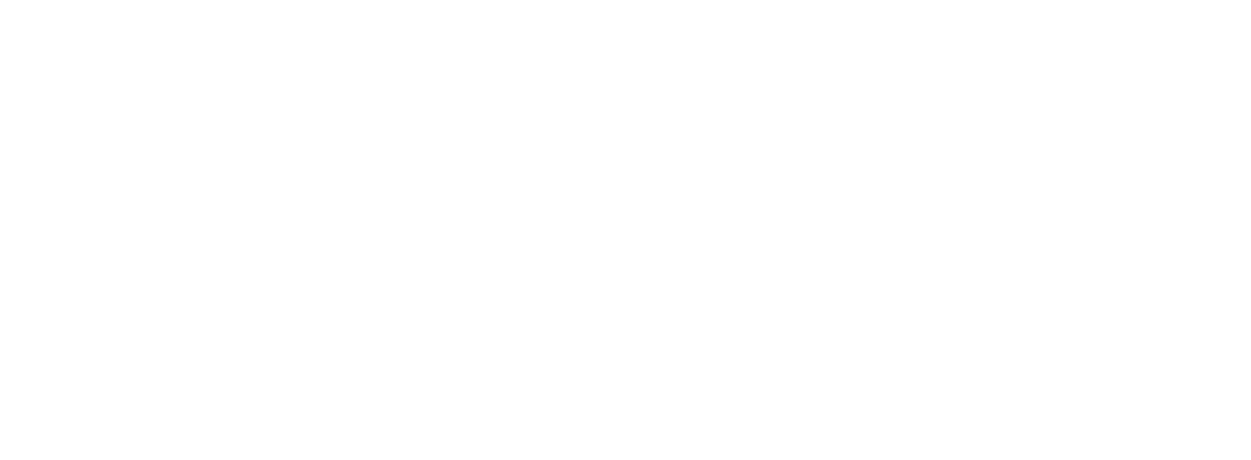 logo_WHITE